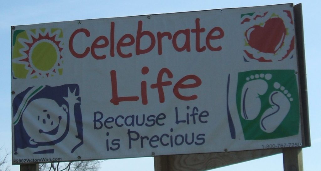 Celebrate Life Because Life is Precious