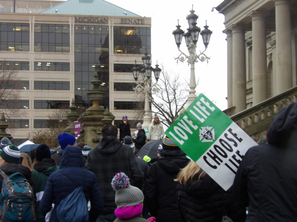 A shot of the crowd at the rally with the MI Senate building in the background.