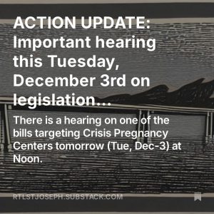 ACTION UPDATE: Important hearing this Tuesday, December 3rd…